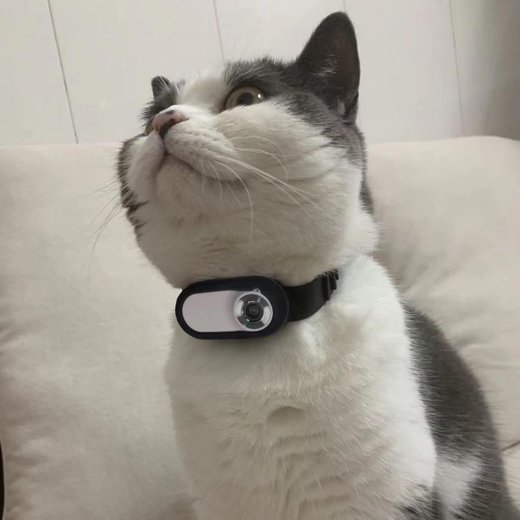 Pet View Camera: Cat & Dog Chest Collar Camera Recorder