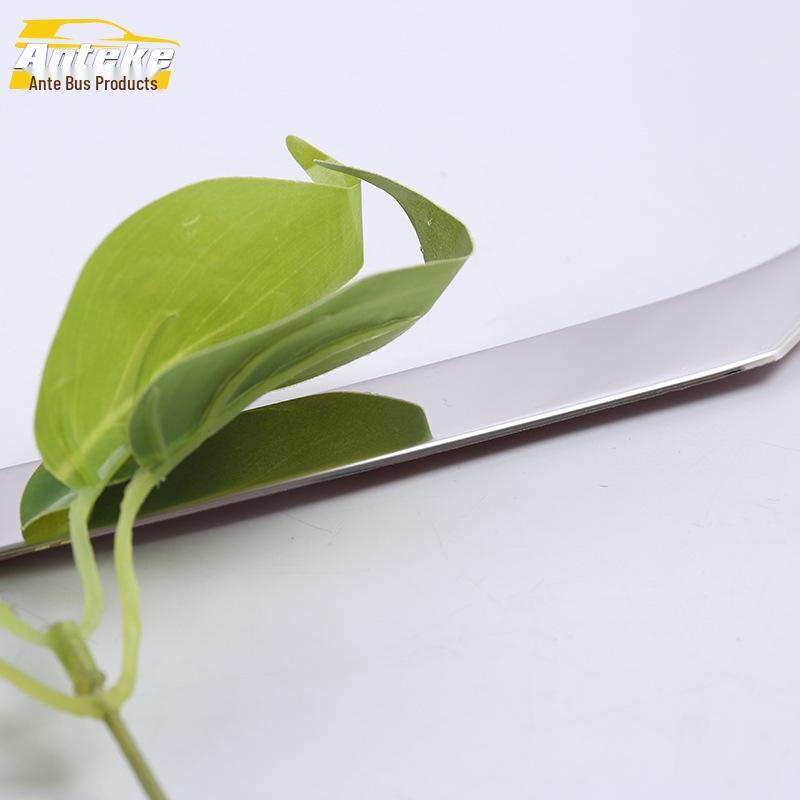 17 Buick Regal Rear Bumper Trim & Anti-Scratch Patch