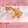 Alles Vertrauen Shiba Inu Shiba Inu Lustig Innen Hund Figur Merchandise, Figur, Kacka, Artikel, Dekor, (Rot, Kacka)