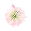 Simulated Flower Hair Clip Hairpin Barrette Headwear Bridal bridesmaids Hair Accessories For Women Artistic Photography