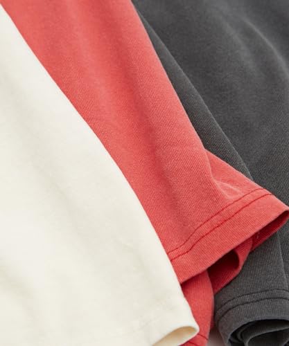 IMPROMES Casual SIDEWAYSTANCE Thunder No Way Pigment Short Sleeve T-Shirt, Men's, Red