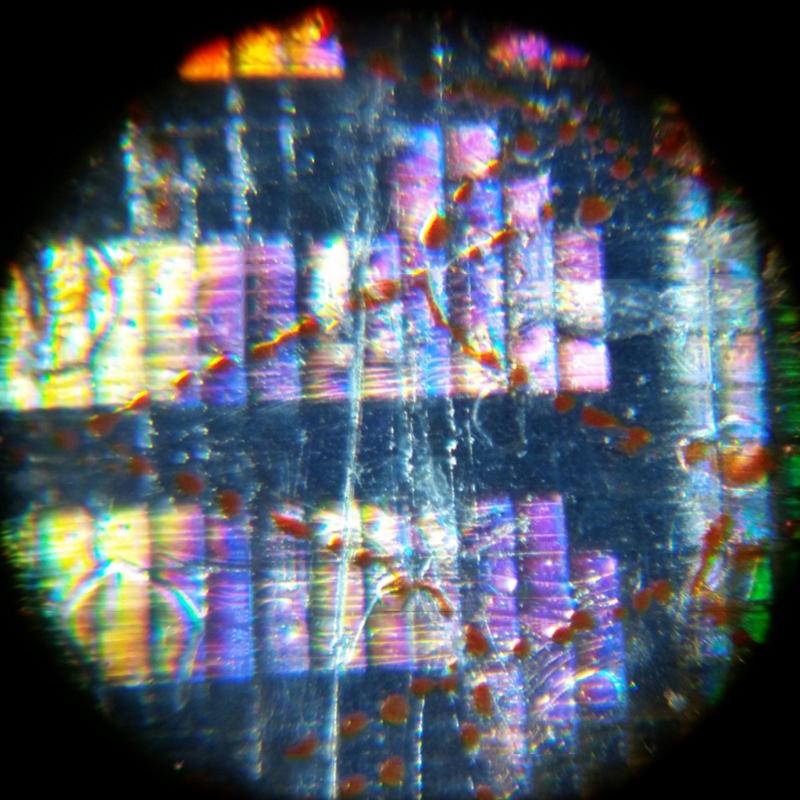 160-200X Adjustment Portable LED Microscope LED Lighted Pocket Microscope Magnifier-M25 Natural Observation Uses