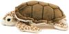 Colorata Loggerhead Sea Turtle Plush Toy (S Size/Soft Touch) Realistic Turtle Marine Animal Toy Doll Gift Present Birthday (Twice Checked) / Christmas