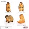 TOMMYFIELD Marmot Figurine, Realistic Animal, Living Room, Garden Decor, Entryway (Marmot) [Parallel Import]