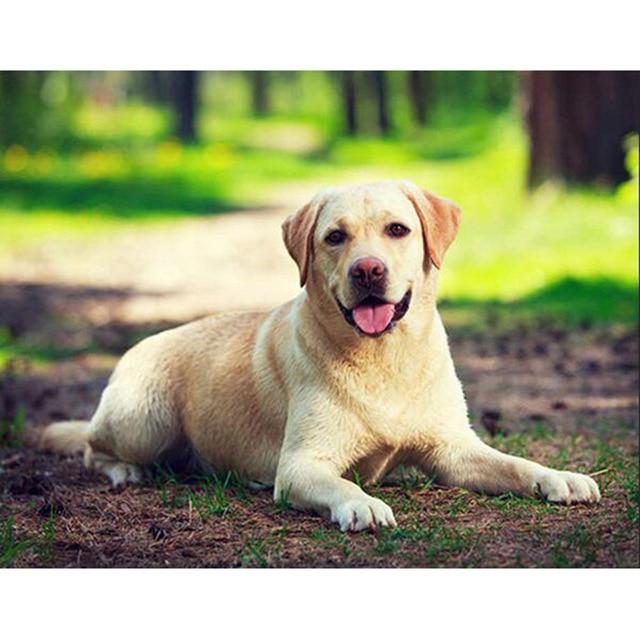 DIY 5D Diamond Painting Full Round Drill Animal Diamond Embroidery Cartoon Dog Cross Stitch Rhinestone Mosaic Gift Wall Sticker