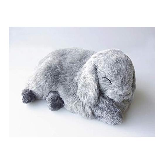 Nini and Kino Perfect Pet (Small Size) Rabbit Lop Ear (Gray) Stuffed Toy Rabbit Rabbit Realistic Looks Like Miscellaneous Goods Animal Healing Moving
