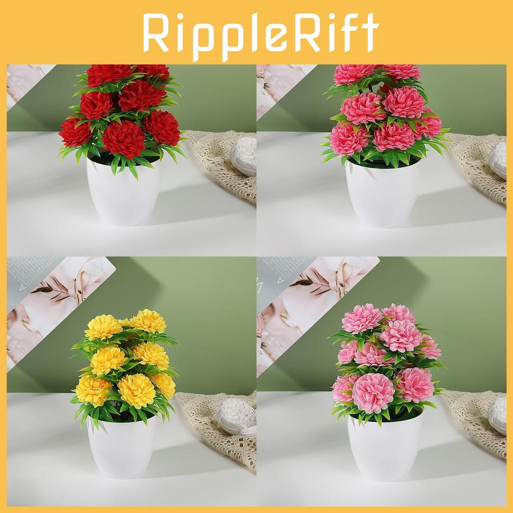 Flower Pot Plastic With Twelve Ball Chrysanthemum For Indoor Decoration