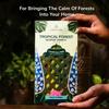 Tropical Forest Incense Variety -Incense Stick - (5 Scents, 60 Sticks) Charcoal Free Inscents-Sticks