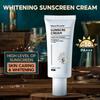 Oil-Free Facial Sunscreen SPF 50+ Broad Spectrum Water Resistant Non-Greasy Lightweight for Men & Women