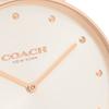 Coach Women's Perry 36mm Quartz Watch, White and Pink, Leather, COACH 14503884