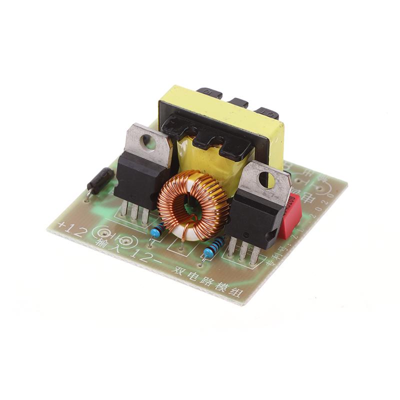 12V bis 220V DC-AC-Boost-Wechselrichter Zweikanal-Umkehrwandler Booster-Modul Regler Step Up Power Module