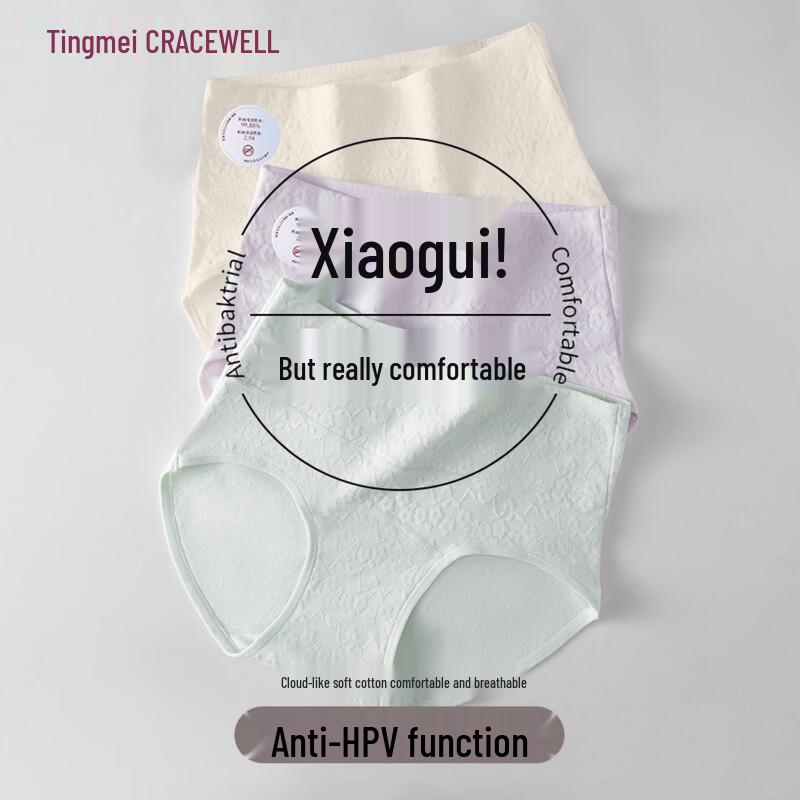 GRACEWELL Women s Seamless Mid-Rise Brief Underwear QS Series L