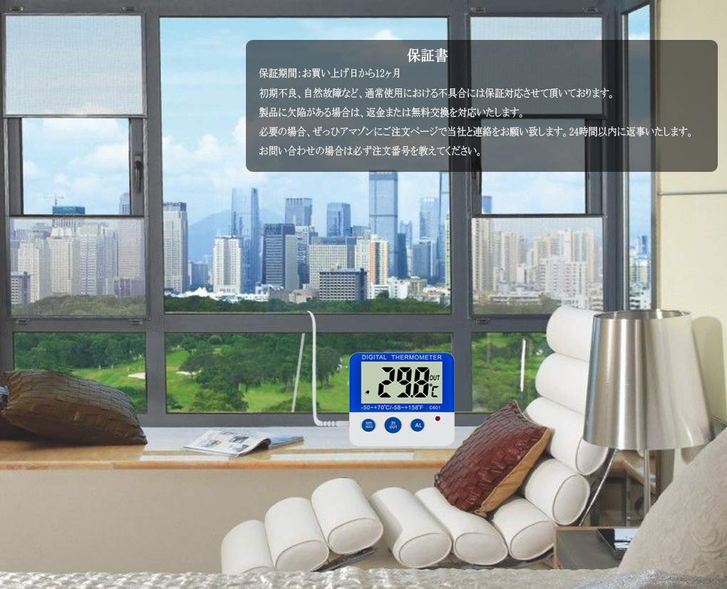 BALDR Freezer Thermometer Refrigerator Digital Thermometer Compact Maximum and Minimum Indoor and Outdoor Temperature Recording Maximum and Minimum