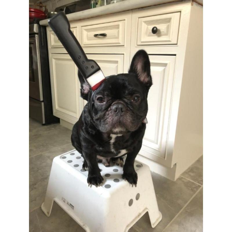 Accesorii Costume Horror Halloween Bentițe Însângerate (Cuțit/Seringă/Foarfece însângerate) Accesorii amuzante pentru cap