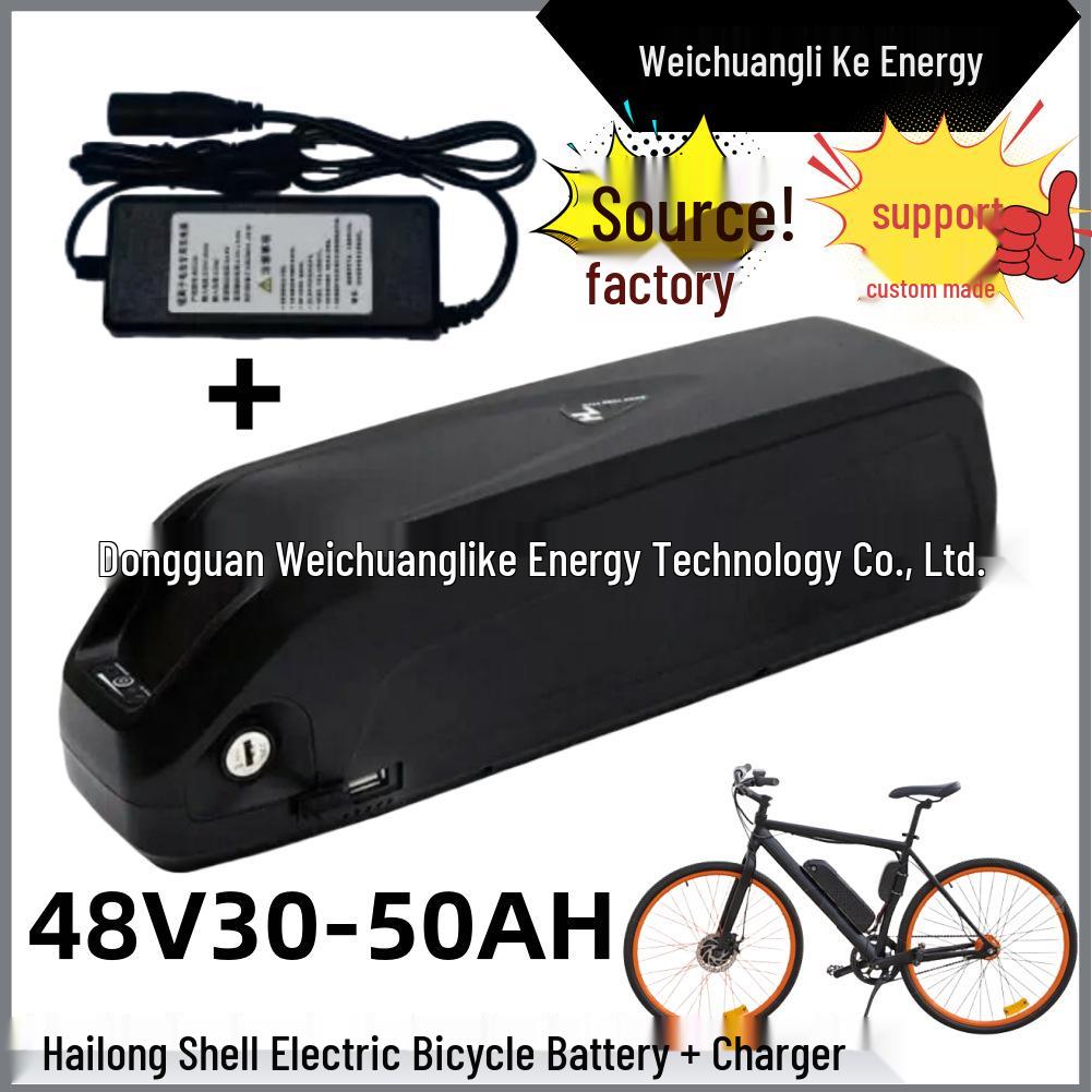48V 18650 Lithium Battery Pack for E-Bike with BMS + Charger