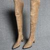 Fashion Winter Fashion Pointed Toe Women Long Over The Knee Boots Street Style Thick Heels Party Stripper Female Shoes