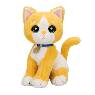 Kedi – Kedi Oyuncakları