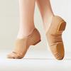 Female Adult Dance Shoes with Elastic Fabric and Soft Sole Practice Shoes Without Straps Stage Dance Performance for Women