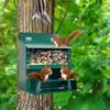 Outside Squirrel Feeder Metal Chipmunk Feeder with Clear Window Outdoor Wall Mounted Peanut Feeder Gift for Wildlife Lovers