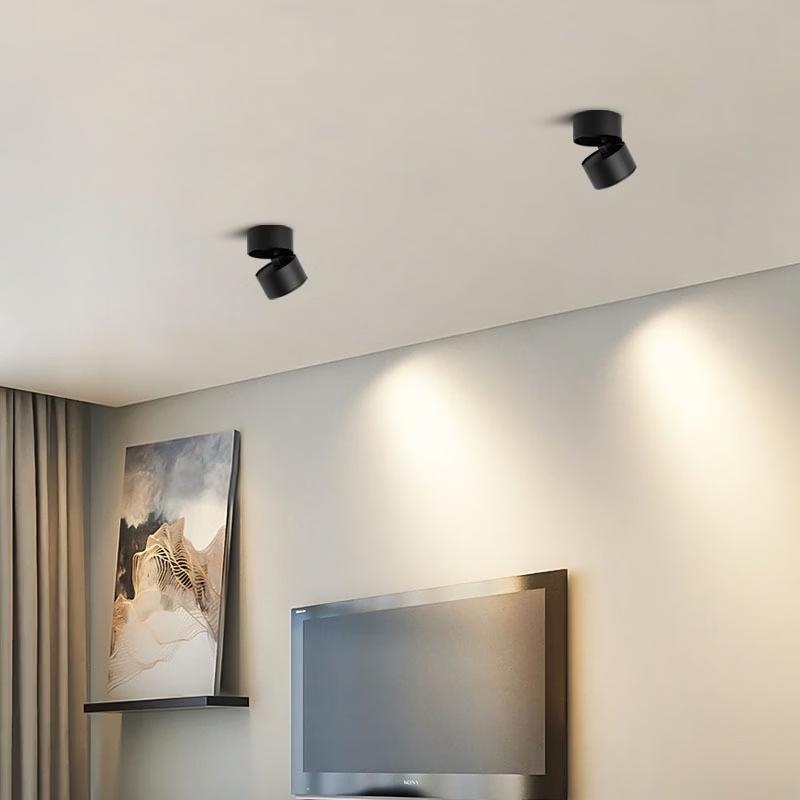 Oeny Adjustable Surface-Mounted LED Downlight