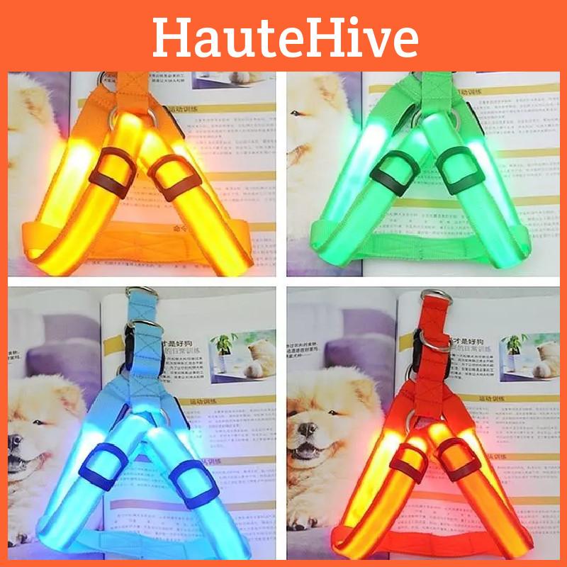 Dog Harness Led Safety Nylon Strap Adjustable Flashing Light Rechargeable Up