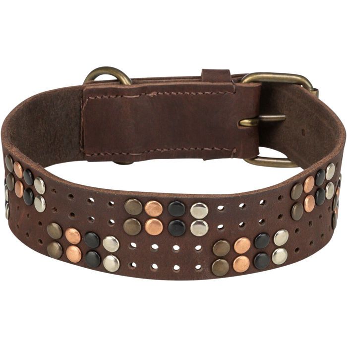 Collier Pour Chien - TRIXIE - Marron - Cuir Rustique - Taille M - Rivets Décoratifs