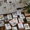Cusutul și lucrul manual – Scrapbooking