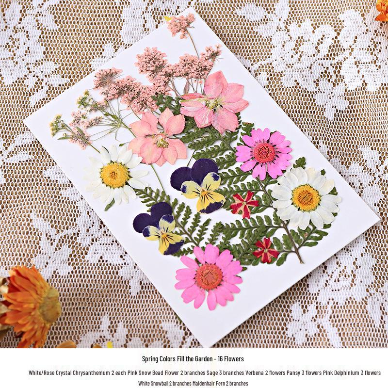 Nordic Simple Acrylic Photo Frame - 6-7 Inch DIY Dried Flower Pressed Specimen