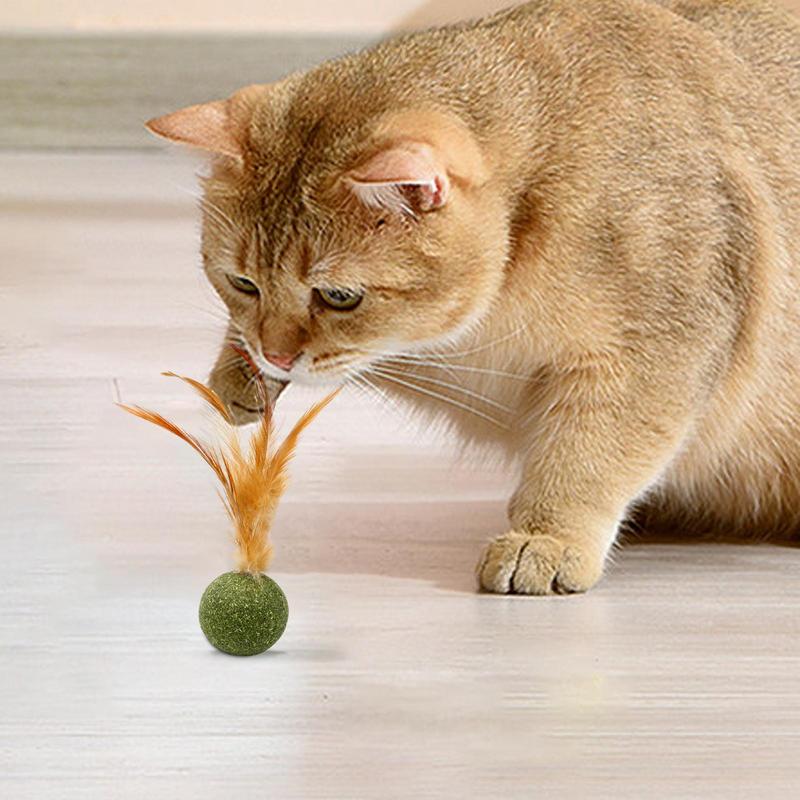 Catnip Balls for Cats Kitten Feather Edible Ball Interactive Cat Toys Indoor Cats Kicker Toy Teeth Cleaning Hairballs Removal