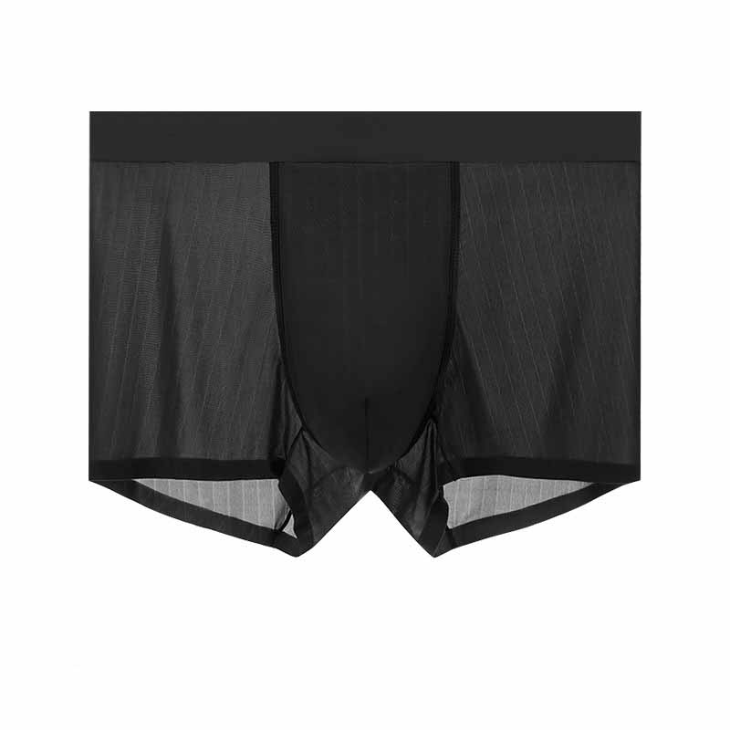 Mens Boxer Shorts Ice Silk Men Panties Seamless Underwear Man Underpants Panties Male Ultra-thin Breathable Briefs