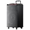Newmine N520 Portable Outdoor KTV Bluetooth Trolley Speaker (CN Version)