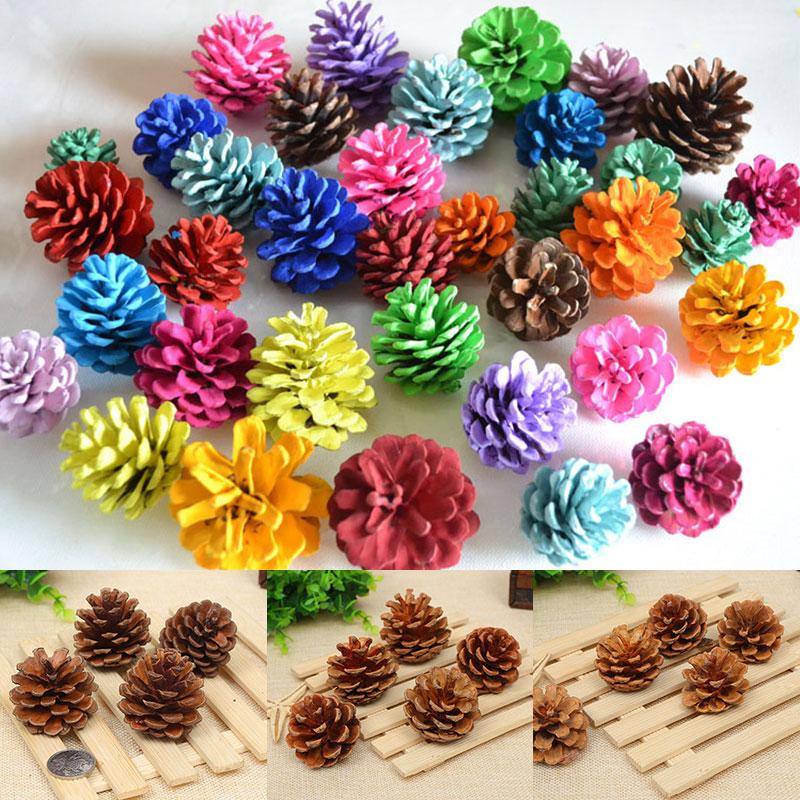 Mini vera pigna naturale pigne decorative pigna pallina albero di Natale decorazioni per la casa 5 pezzi / borsa  15