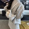 Niche polka dot pillow cloth bag women's new versatile shoulder underarm bag work small bag