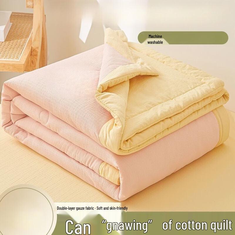 LISM Double-Layer Gauze Summer Quilt