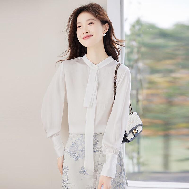 Teluoman Women s Long Sleeve Tie-Neck Chiffon Blouse 2XL