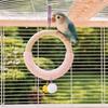 Holz Vogel Schaukel Spielzeug Bunter Ring Hängend Papagei Ring Spielzeug Haustier Trainingsständer Vogelkäfig Sitzstange Knabbern