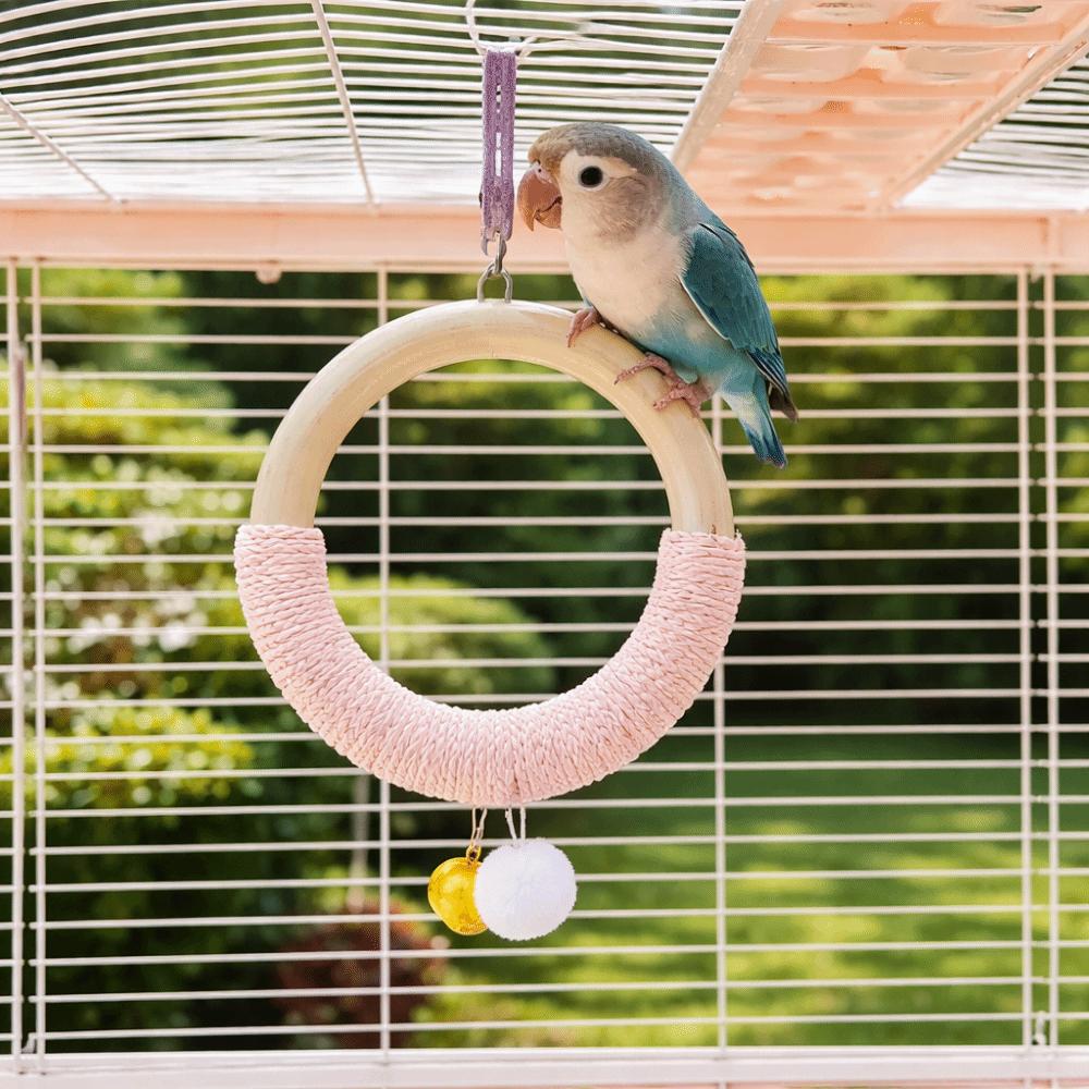 Holz Vogel Schaukel Spielzeug Bunter Ring Hängend Papagei Ring Spielzeug Haustier Trainingsständer Vogelkäfig Sitzstange Knabbern