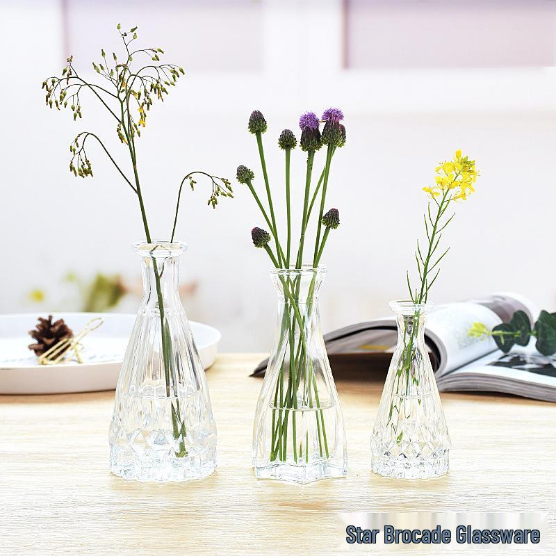 European Glass Vase for Fresh or Dried Flowers - Elegant Hydroponic Decoration Ornament