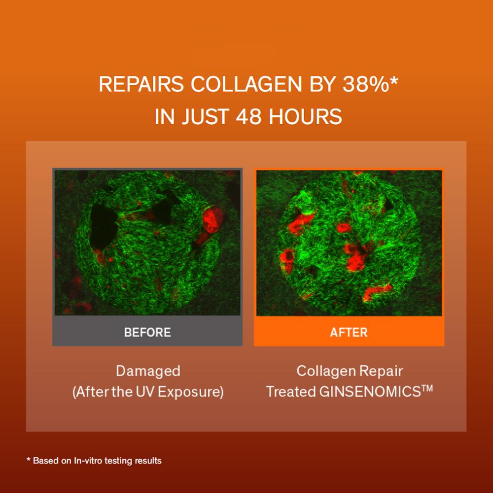 Sulwhasoo Concentrated Ginseng Rejuvenating Cream Rich 30ml