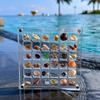 36 Grids Acrylic Seashell Display Box with Magnets Durable Starfishs Trinket Storage Case for Bead Nail Jewelry