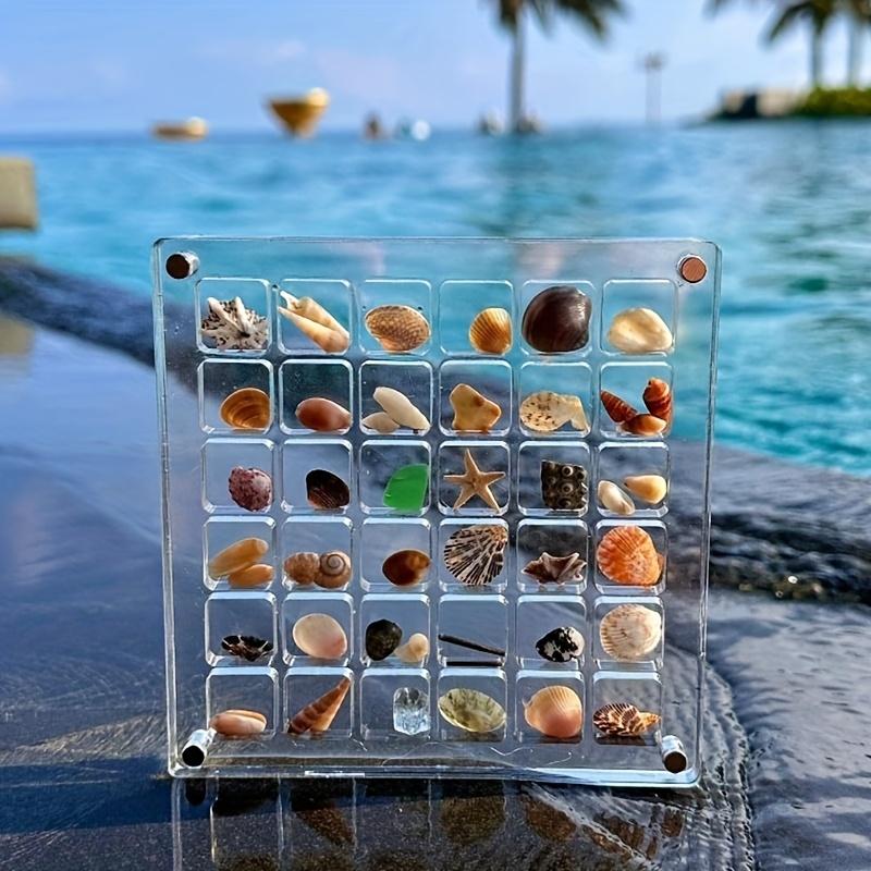 Acryl-Muschel-Displaybox mit 36 Fächern und Magneten, Langlebige Seestern-Schmuckaufbewahrungsbox für Perlen, Nägel, Schmuck