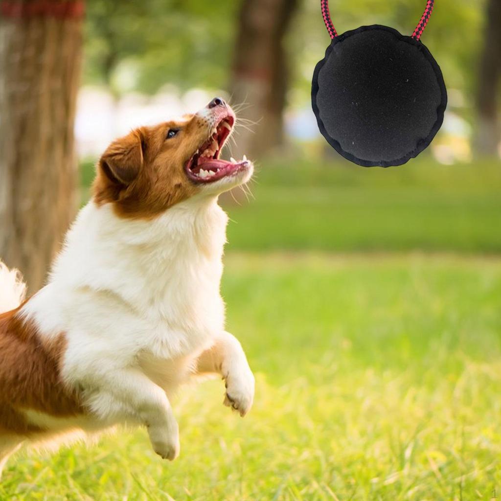 Tough Dog Toy Training Sofa Protection Interactive Play for Dogs Indoor