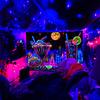 UV Reactive Fluorescent Wine Glass Tapestry - Black Light Responsive Wall Art Room Decoration