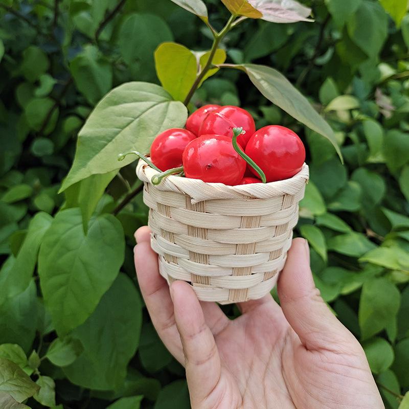 Small Bamboo Woven Flower and Storage Basket