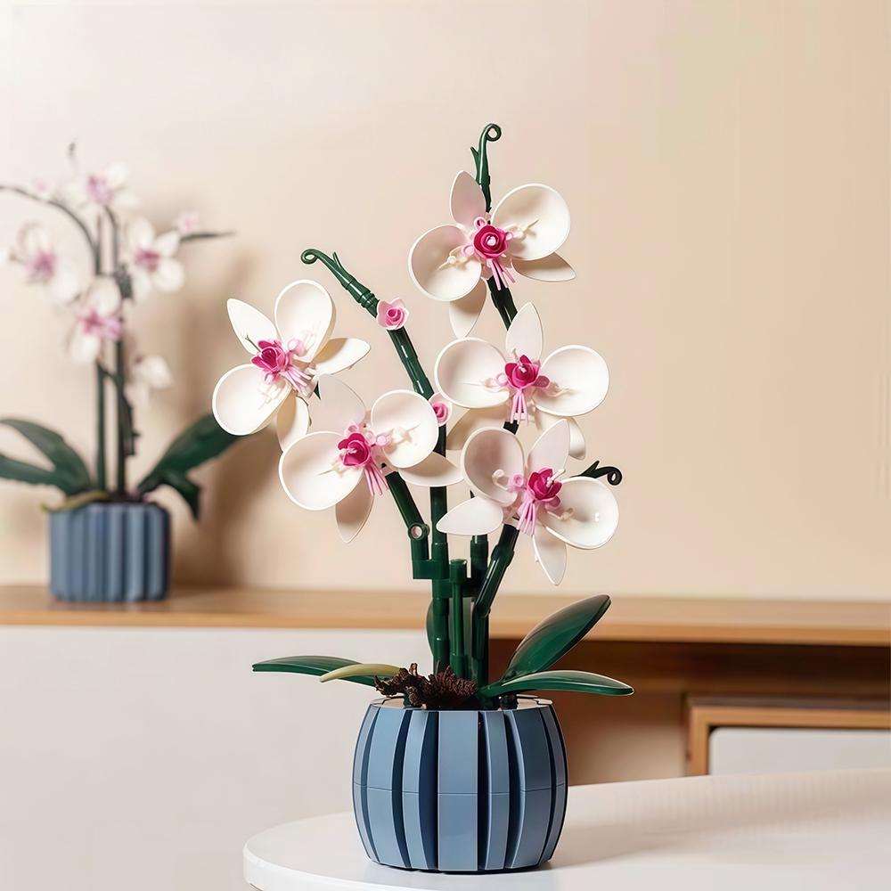 Phalaenopsis Baustein-Set für Kinder - Lustige Simulation einer blühenden Topfpflanze, Ideal zur Dekoration von Zimmern & Geschenke für Mädchen