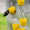 Ferris Wheel Bird Feeder Innovative Bird Toy Rotating Design