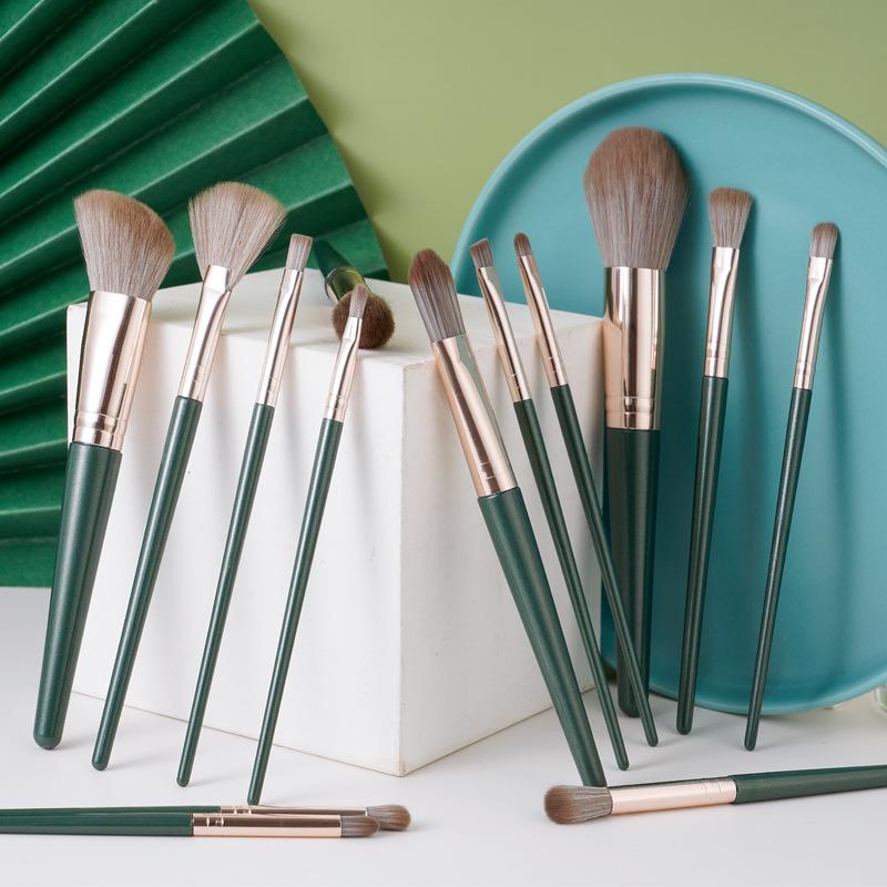 Cangzhou Lvyun 14-Piece Makeup Brush Set: Includes Eyeshadow, Foundation, Concealer, Blush, Tube, and Contour Brushes.