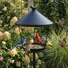 Weatherproof Standing Bird Feeder Anti-Waste Large Capacity Bird Feeder Tray Spill Guard Wild Feeding Station