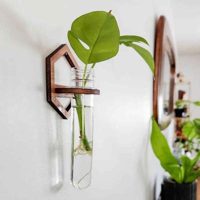 Wooden Test Tube Rack Wall Mounted Flowers Plants Holder Stand Home Office