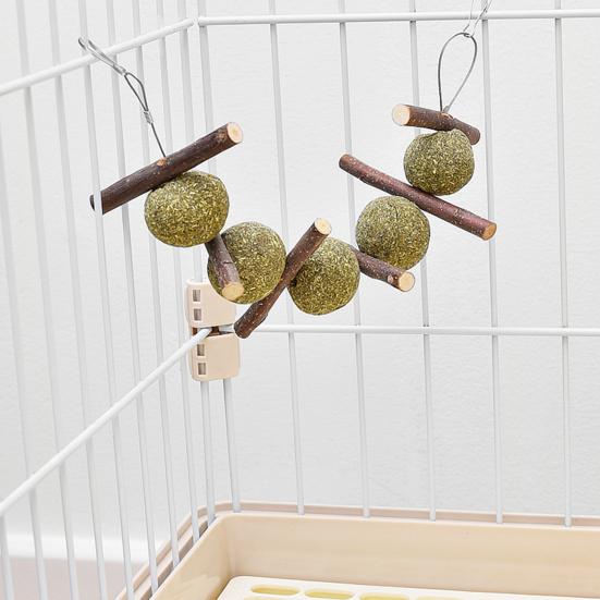 Buy 6Pcs/Set Durable Fine Workmanship Bite Resistant Wood Natural Wood Chew Skewers Toy for